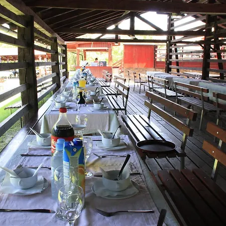 Pri Peclju 3* Podgrad (Osrednjeslovenska)