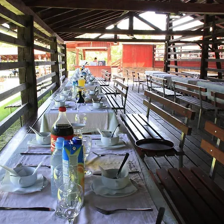 Pri Peclju * Podgrad (Osrednjeslovenska)